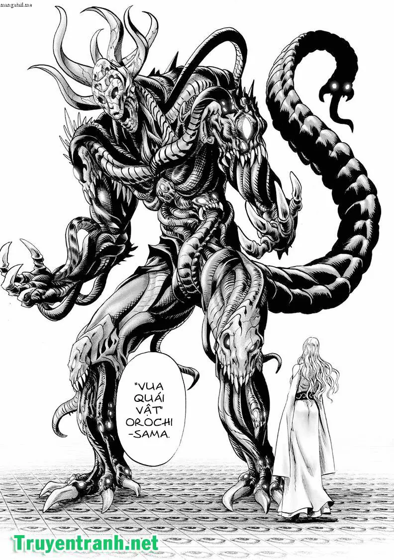 Onepunch Man Nettruyen ZZZ Chương 133 Page 9