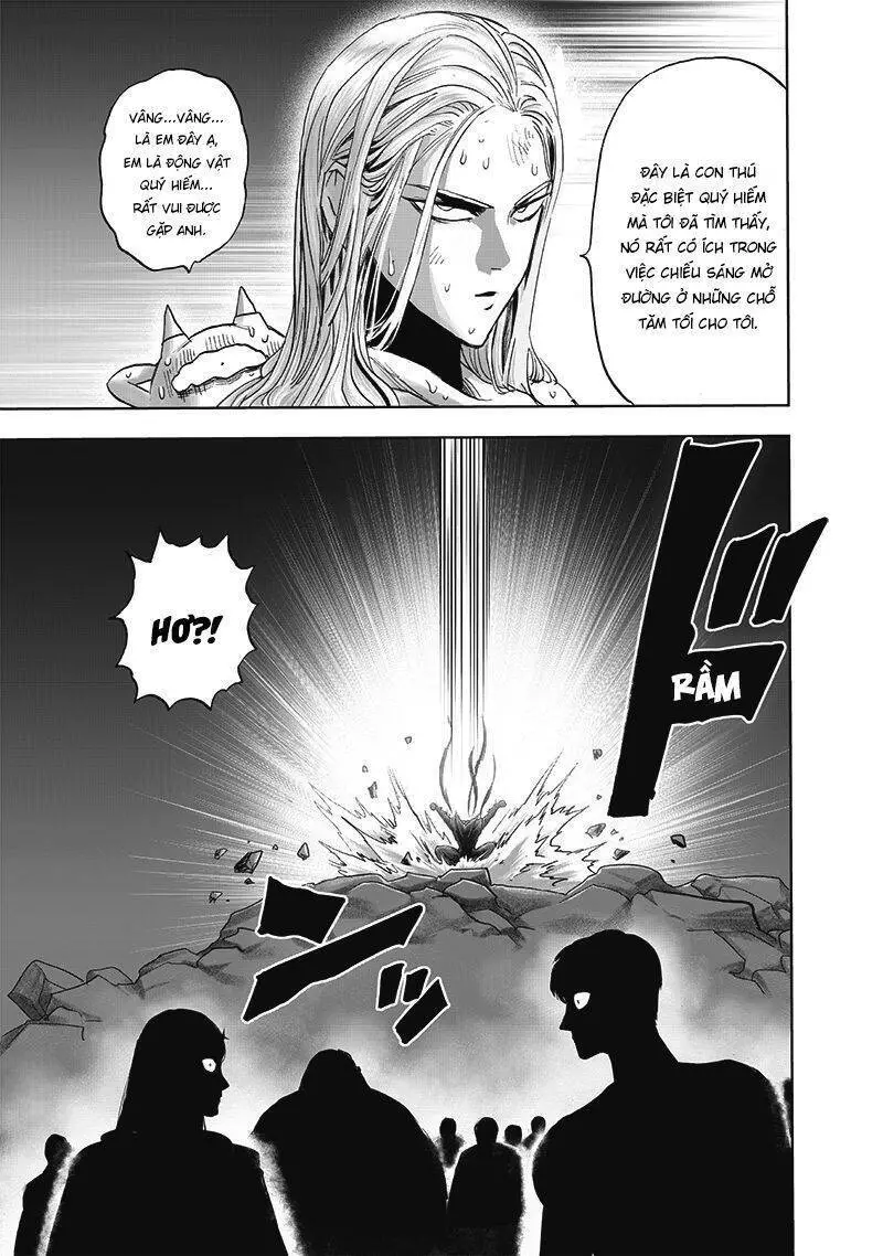 Onepunch Man Nettruyen ZZZ Chương 212 Page 29
