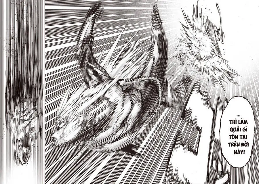 Onepunch Man Nettruyen ZZZ Chương 203 Page 11