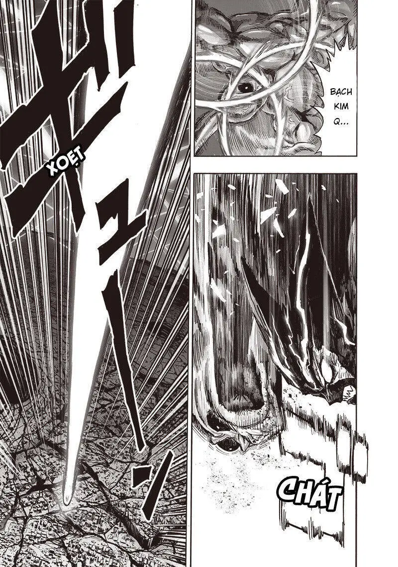 Onepunch Man Nettruyen ZZZ Chương 203 Page 17