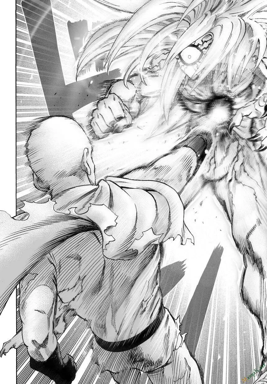 Onepunch Man Nettruyen ZZZ Chương 47 Page 12