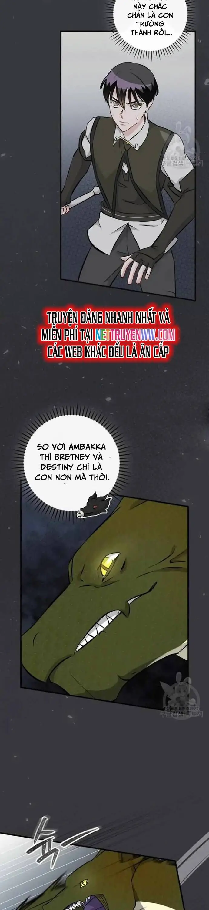 Level Up Chỉ Bằng Cách Ăn Cơm Nettruyen ZZZ Chương 124 Page 5