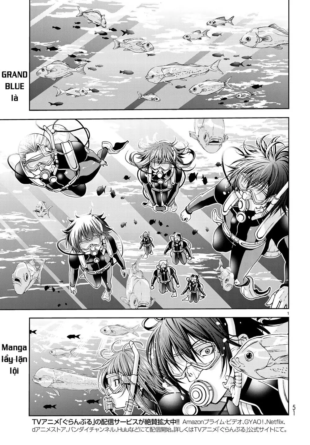 Grand Blue - Cô Gái Thích Lặn Nettruyen ZZZ Chương 61 Page 3