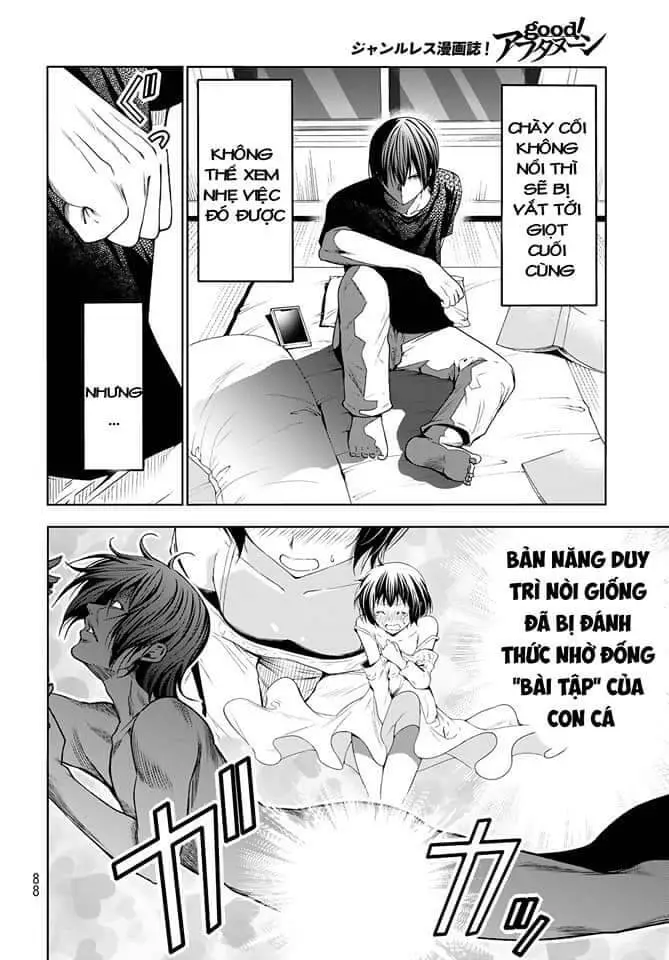 Grand Blue - Cô Gái Thích Lặn Nettruyen ZZZ Chương 83 Page 5