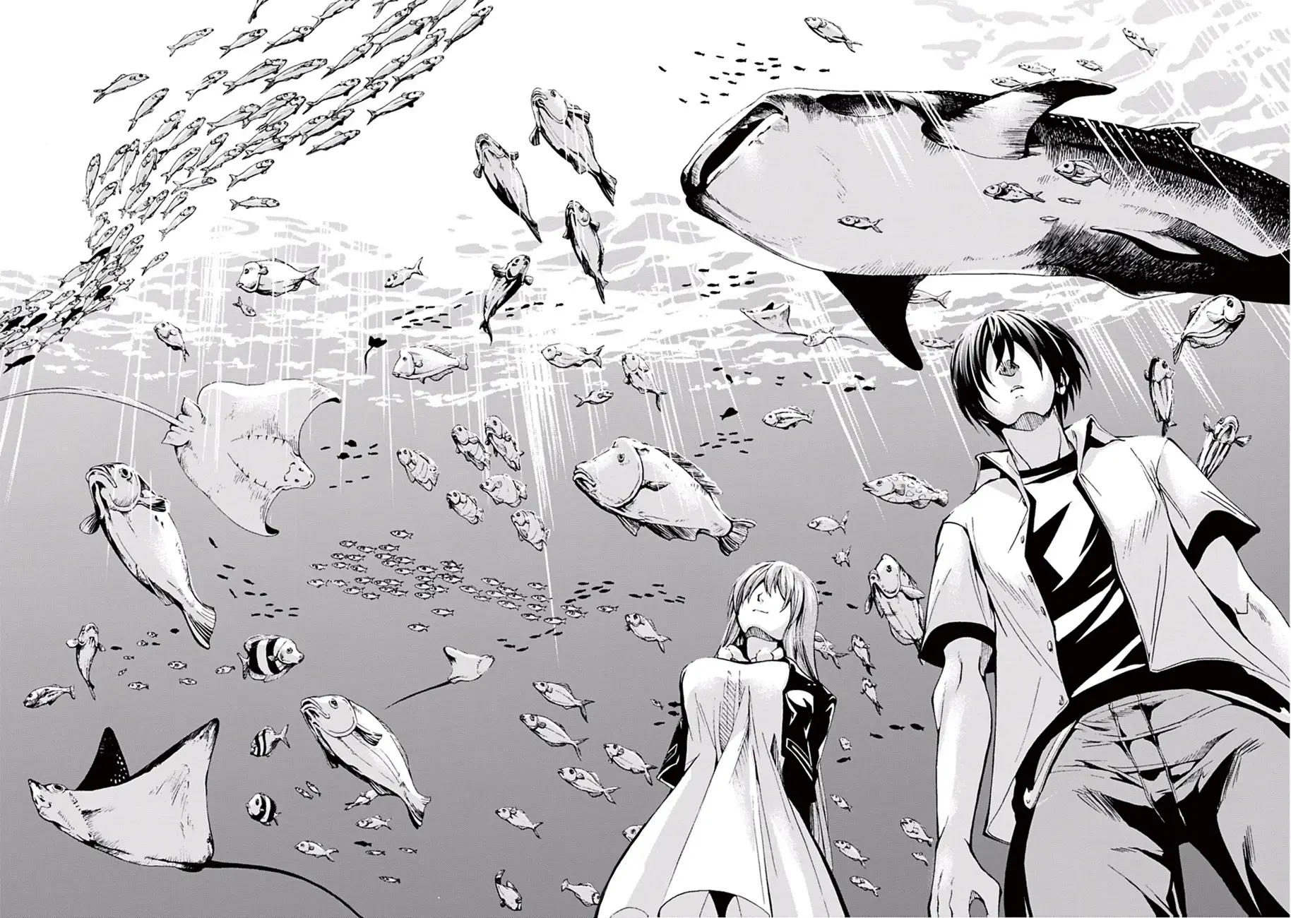 Grand Blue - Cô Gái Thích Lặn Nettruyen ZZZ Chương 4 Page 39