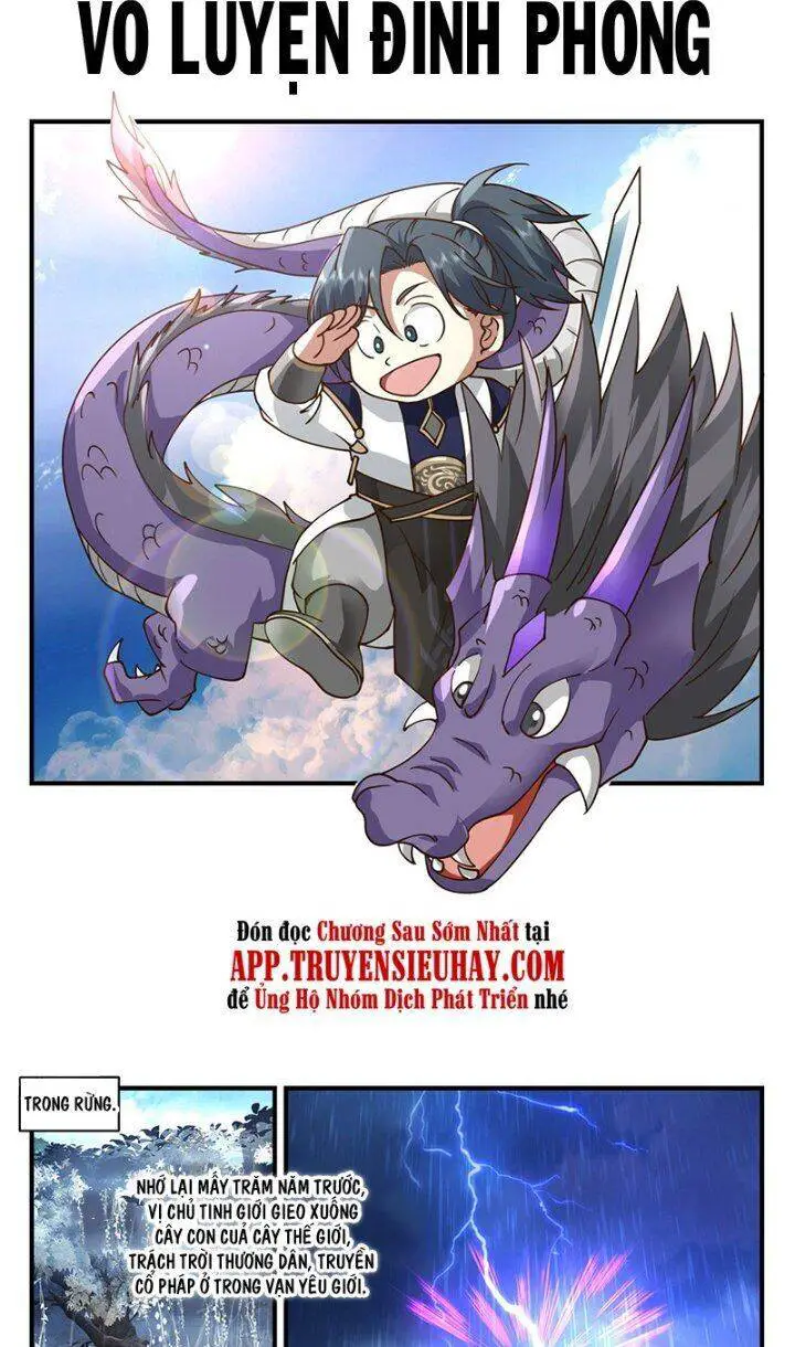 Võ Luyện Đỉnh Phong Nettruyen ZZZ Chương 3412 Page 1