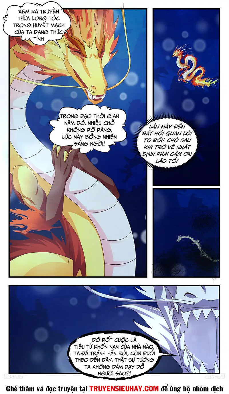 Võ Luyện Đỉnh Phong Nettruyen ZZZ Chương 3226 Page 6