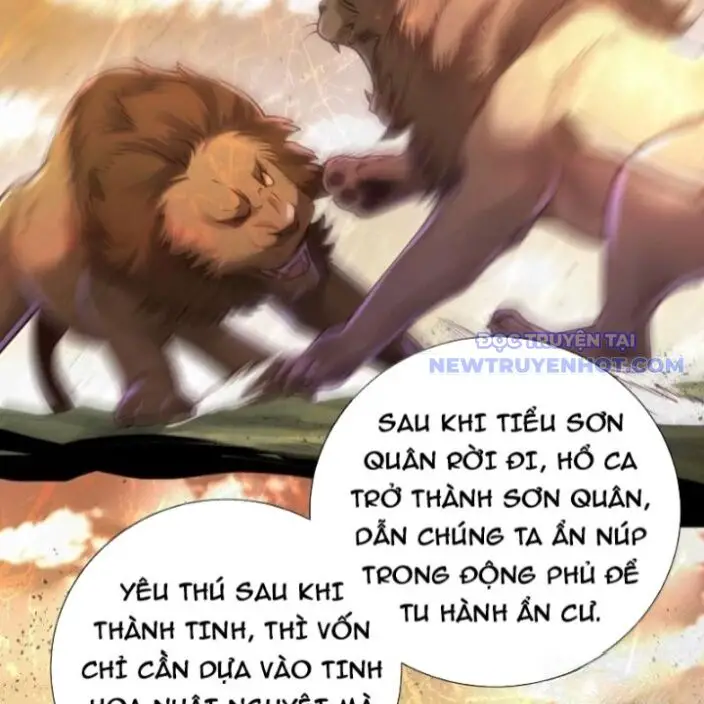 Bói Toán Mà Thôi, Cửu Vĩ Yêu Đế Sao Lại Thành Nương Tử Ta?! Nettruyen ZZZ Chương 72 Page 39