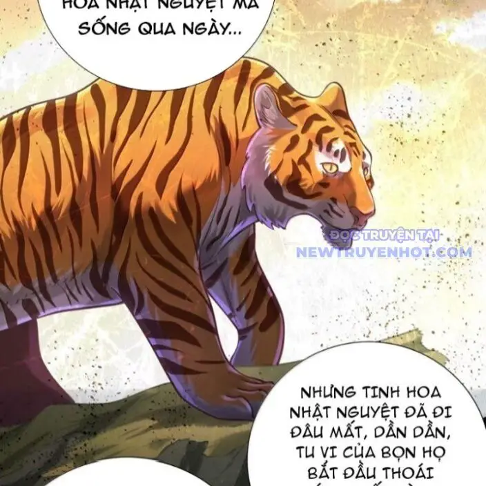 Bói Toán Mà Thôi, Cửu Vĩ Yêu Đế Sao Lại Thành Nương Tử Ta?! Nettruyen ZZZ Chương 72 Page 40