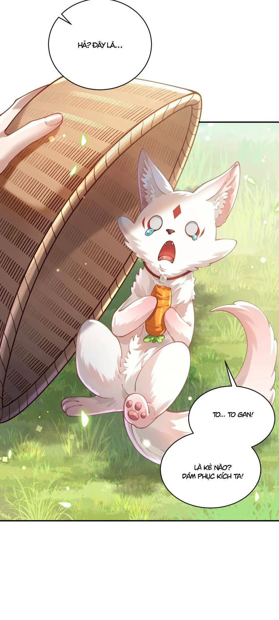 Bói Toán Mà Thôi, Cửu Vĩ Yêu Đế Sao Lại Thành Nương Tử Ta?! Nettruyen ZZZ Chương 22 Page 42