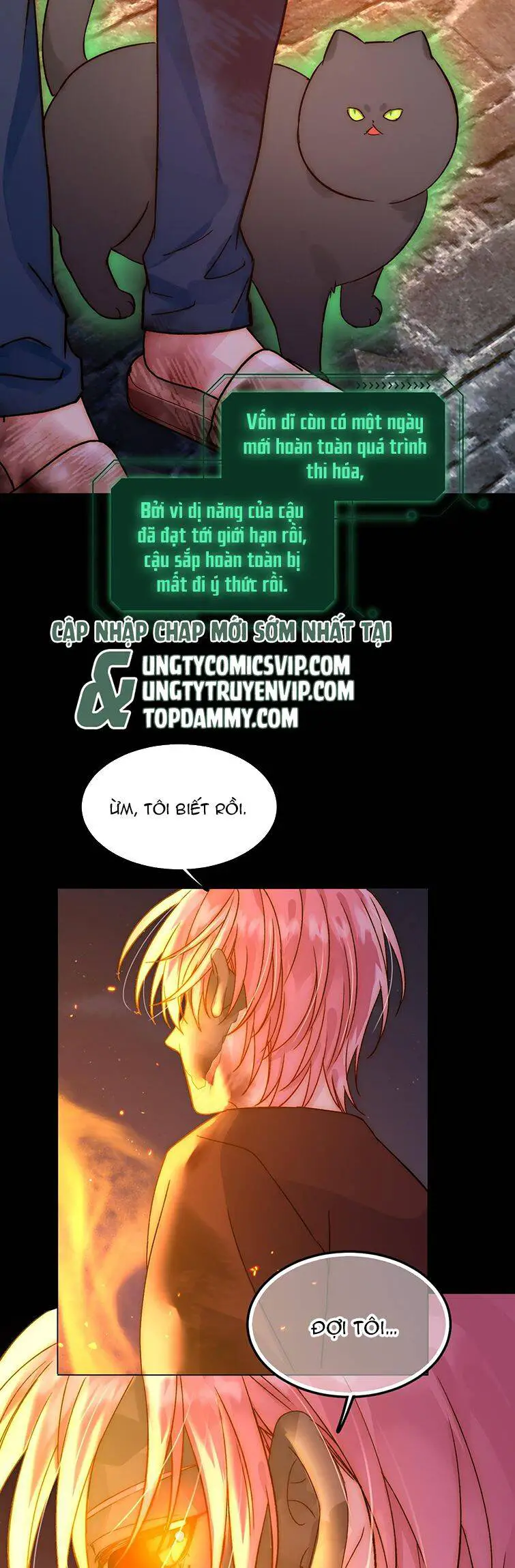 Tôi Phải Làm Một Kẻ Đại Xấu Xa Nettruyen ZZZ Chương 89 Page 33
