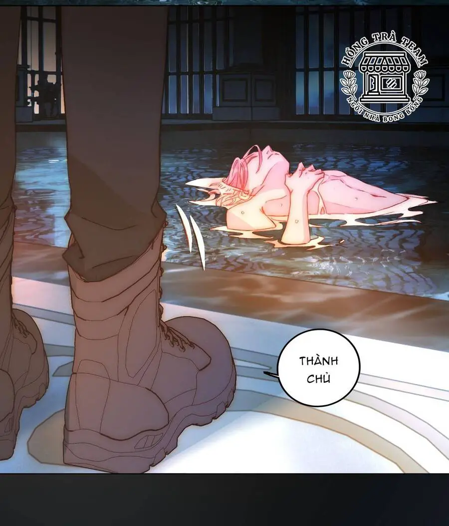 Tôi Phải Làm Một Kẻ Đại Xấu Xa Nettruyen ZZZ Chương 46 Page 41