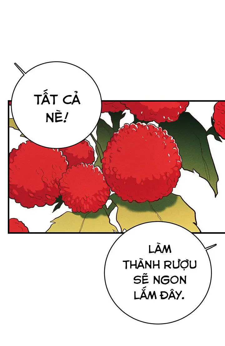 Nữ Đầu Bếp Hoàng Gia Nettruyen ZZZ Chương 42 Page 11