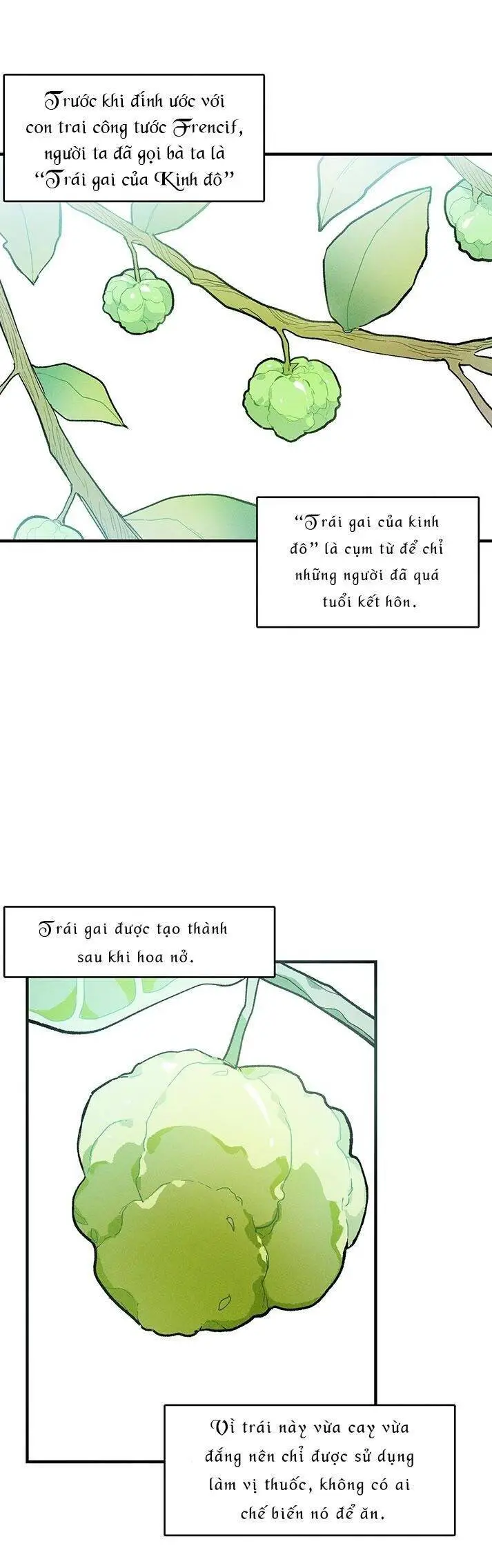Nữ Đầu Bếp Hoàng Gia Nettruyen ZZZ Chương 12 Page 35
