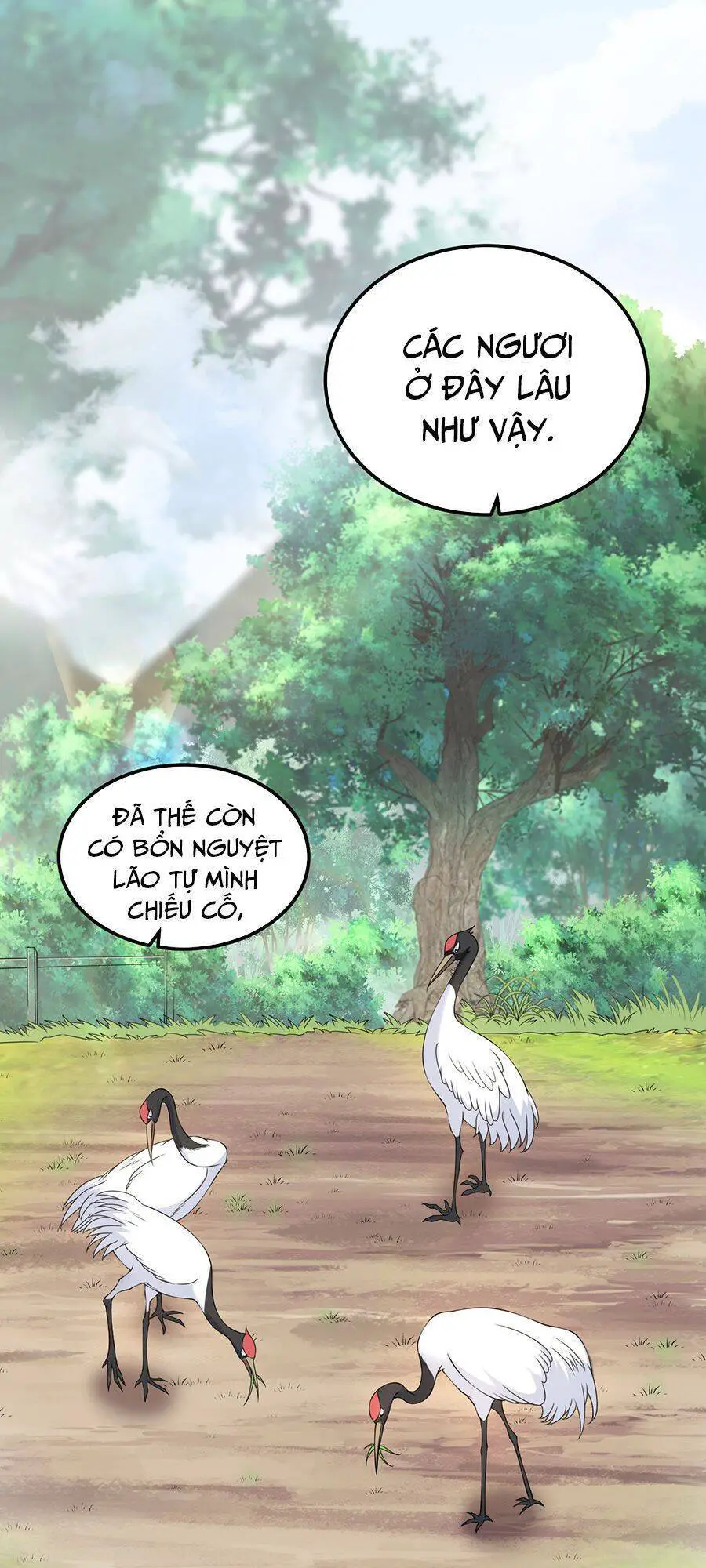 Vai Ác Sư Tôn Mang Theo Các Đồ Đệ Vô Địch Thiên Hạ Nettruyen ZZZ Chương 5 Page 49