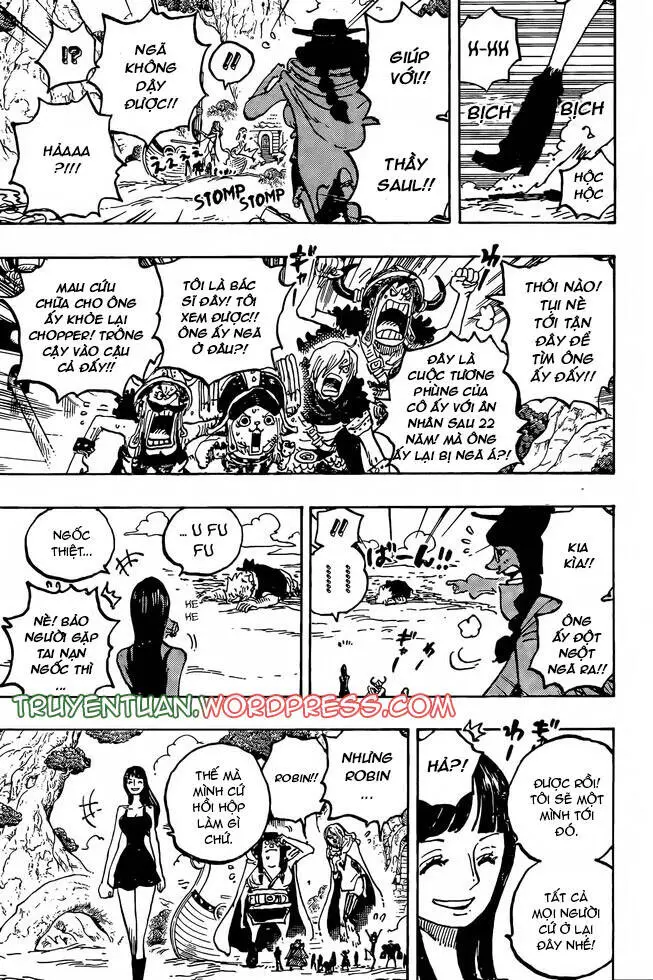 One Piece Nettruyen ZZZ Chương 1133 Page 10