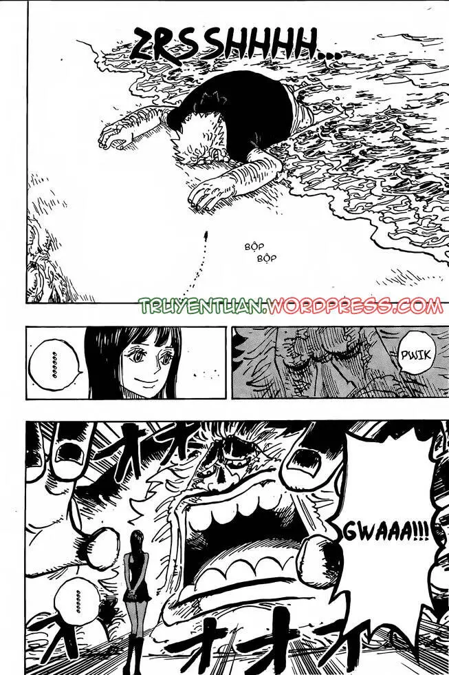 One Piece Nettruyen ZZZ Chương 1133 Page 11