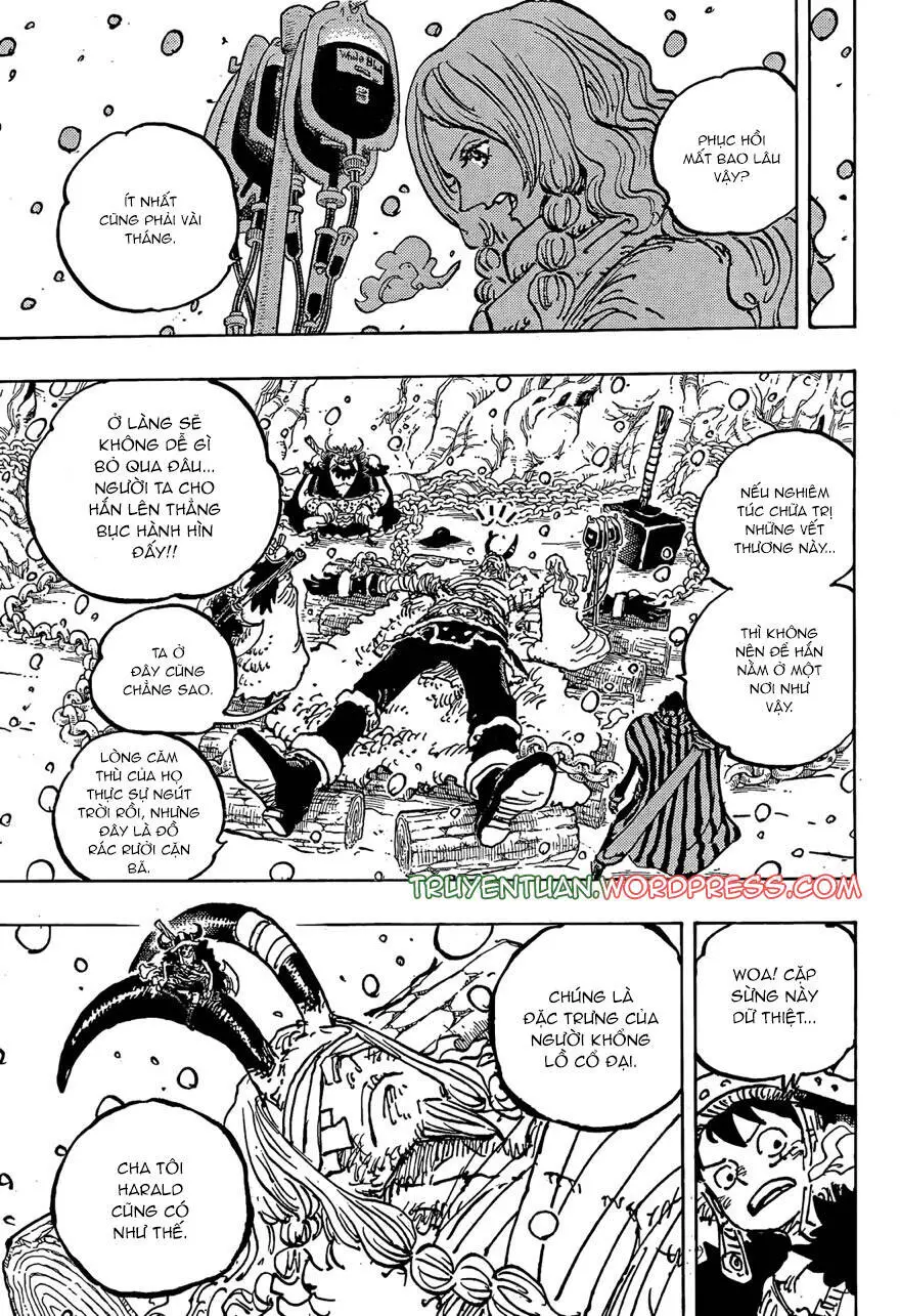 One Piece Nettruyen ZZZ Chương 1143 Page 16