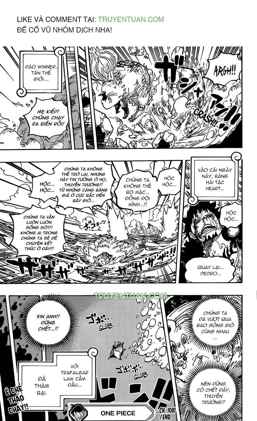 One Piece Nettruyen ZZZ Chương 1081 Page 15