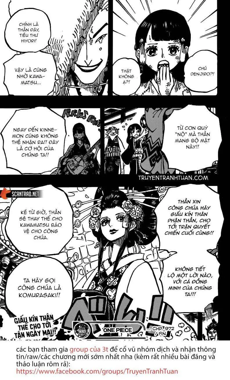 One Piece Nettruyen ZZZ Chương 973 Page 18