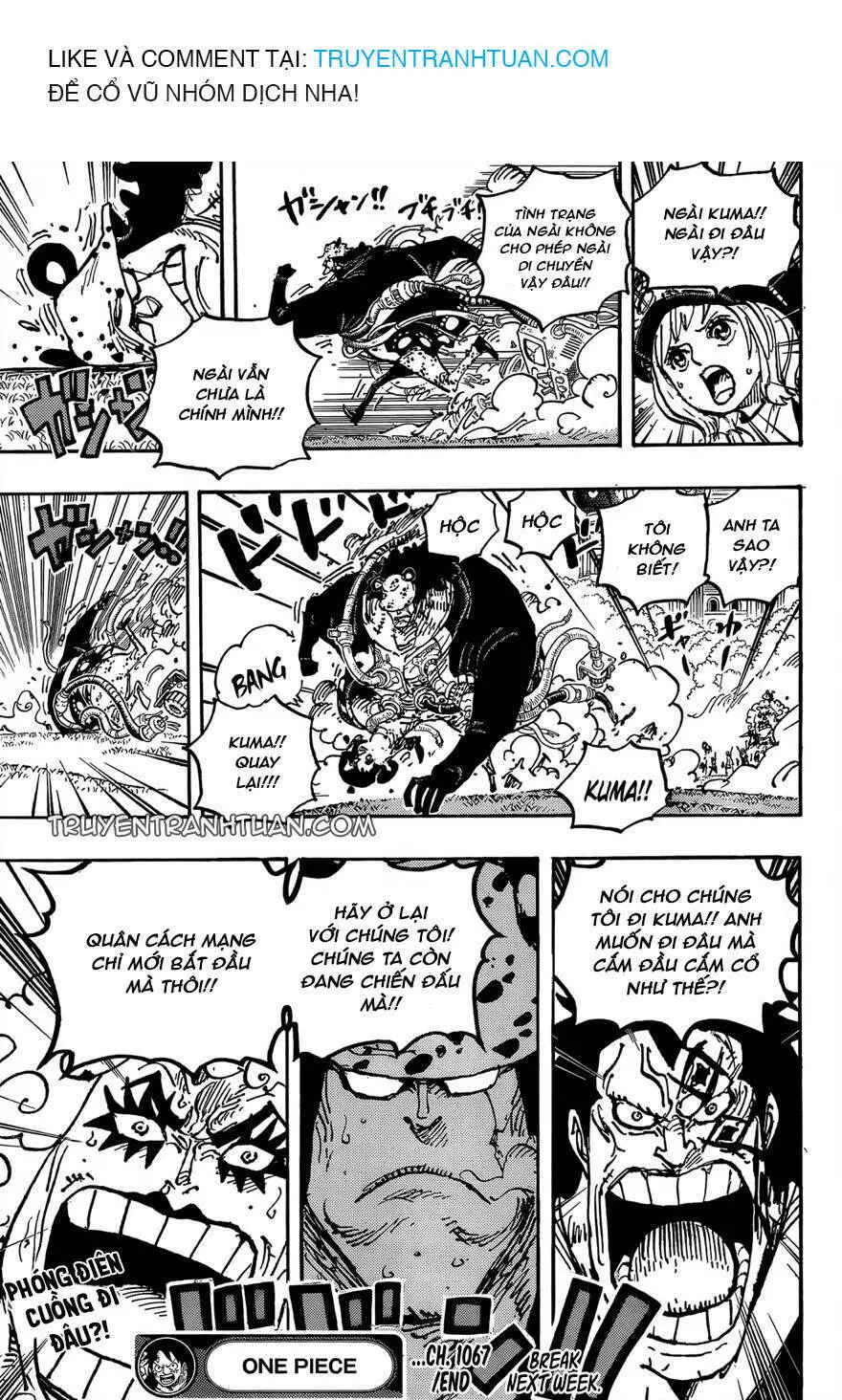 One Piece Nettruyen ZZZ Chương 1067 Page 16
