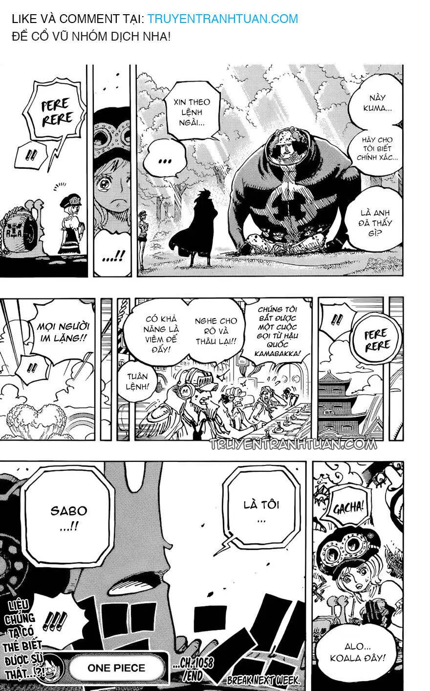 One Piece Nettruyen ZZZ Chương 1058 Page 16