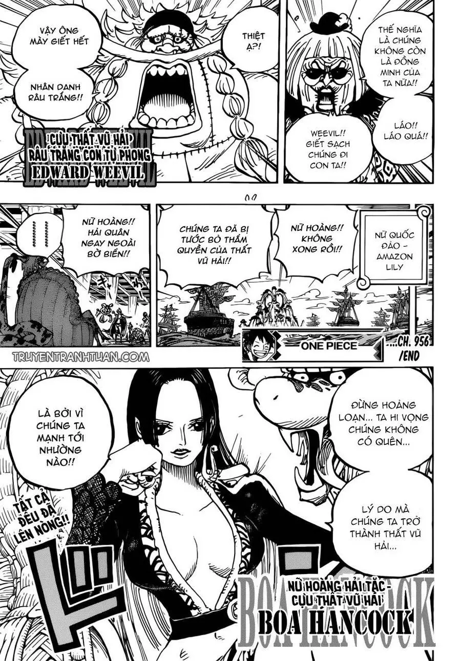 One Piece Nettruyen ZZZ Chương 956 Page 17