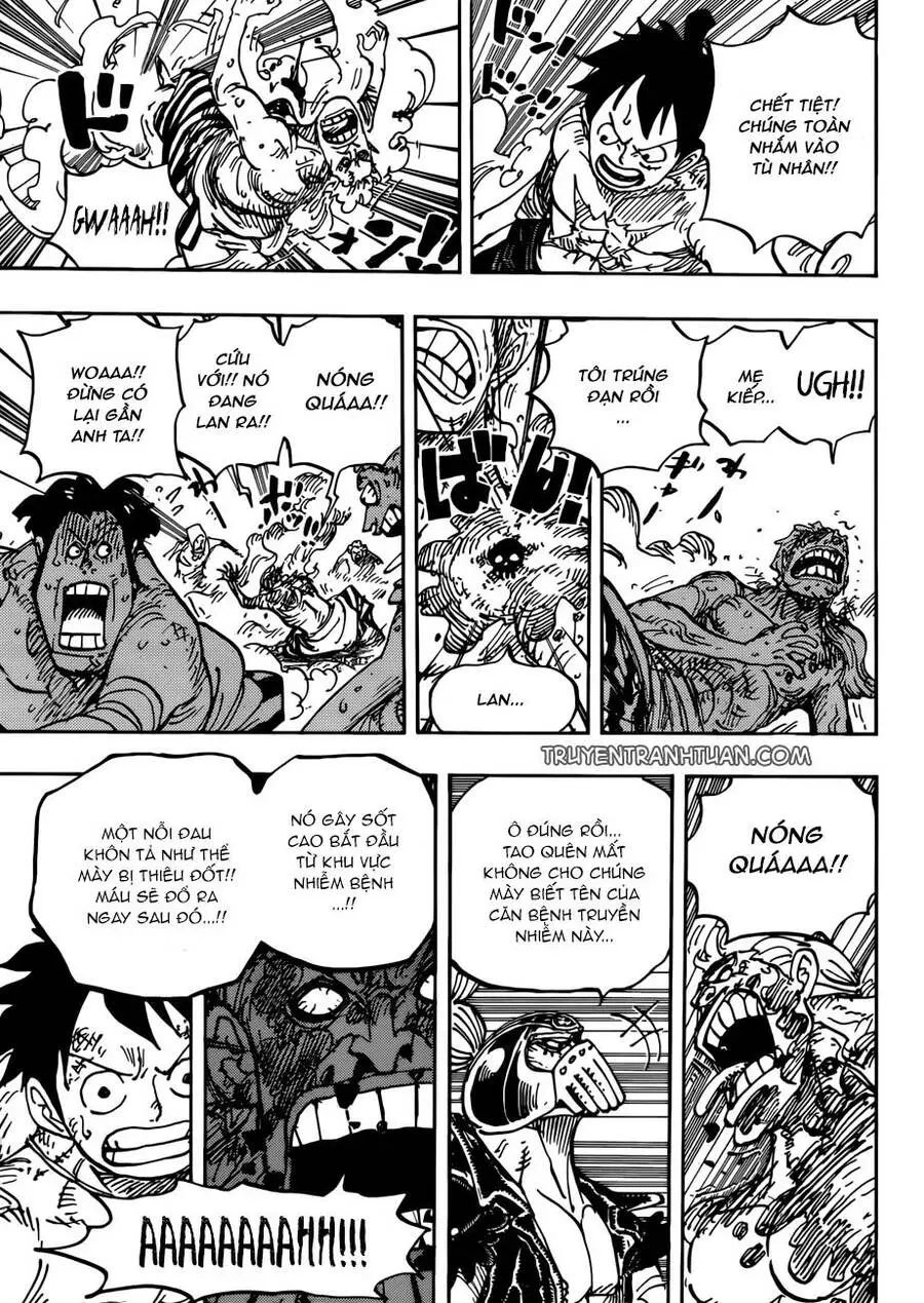One Piece Nettruyen ZZZ Chương 949 Page 7