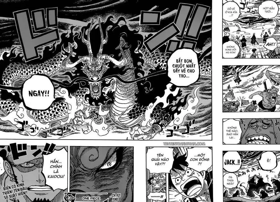 One Piece Nettruyen ZZZ Chương 921 Page 17