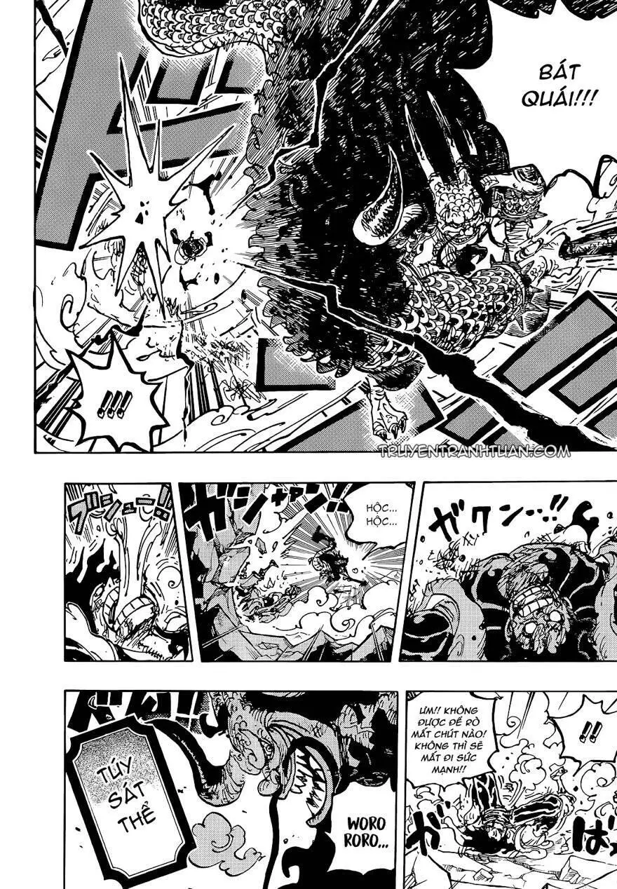 One Piece Nettruyen ZZZ Chương 1042 Page 12