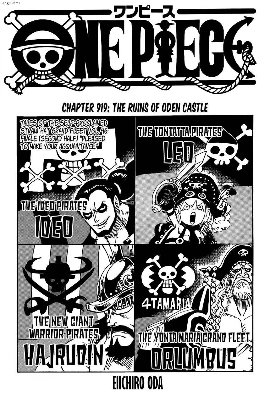 One Piece Nettruyen ZZZ Chương 919 Page 1
