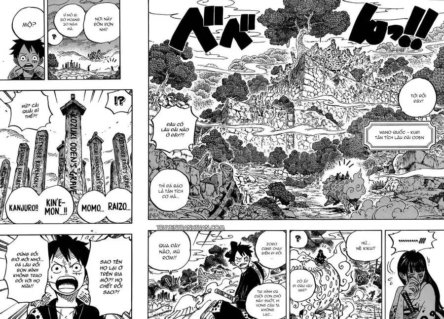 One Piece Nettruyen ZZZ Chương 919 Page 9