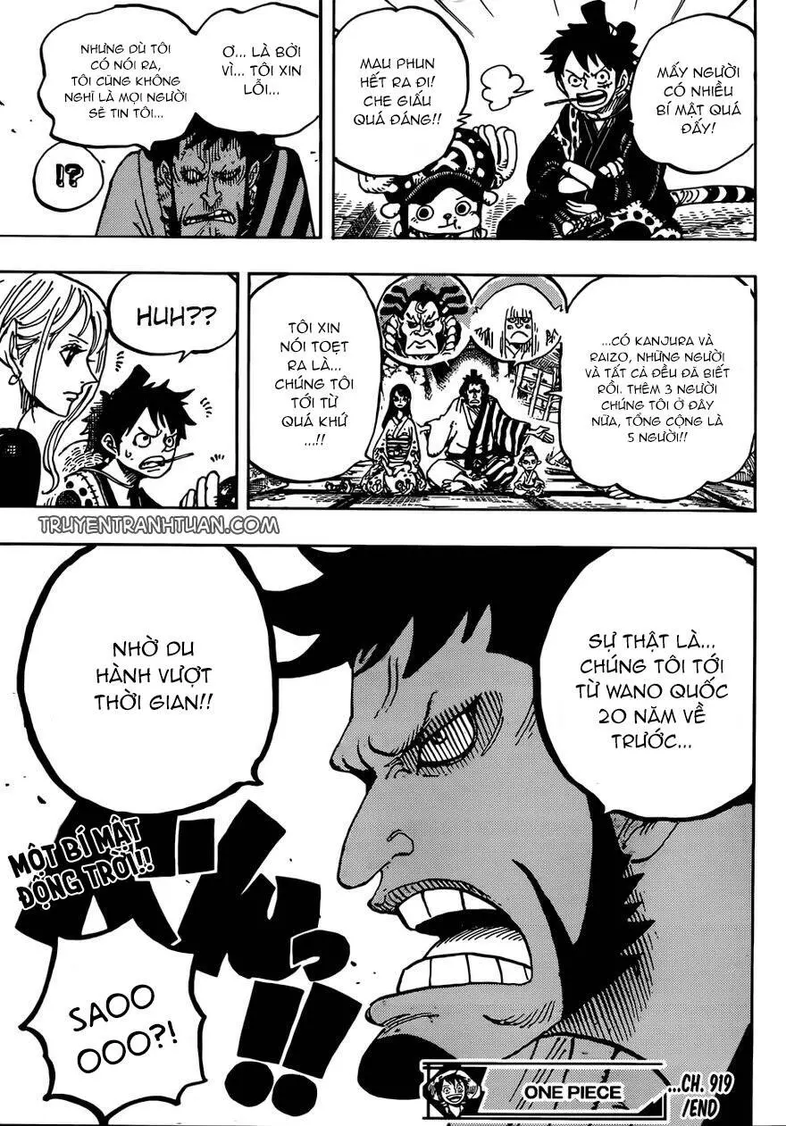 One Piece Nettruyen ZZZ Chương 919 Page 15
