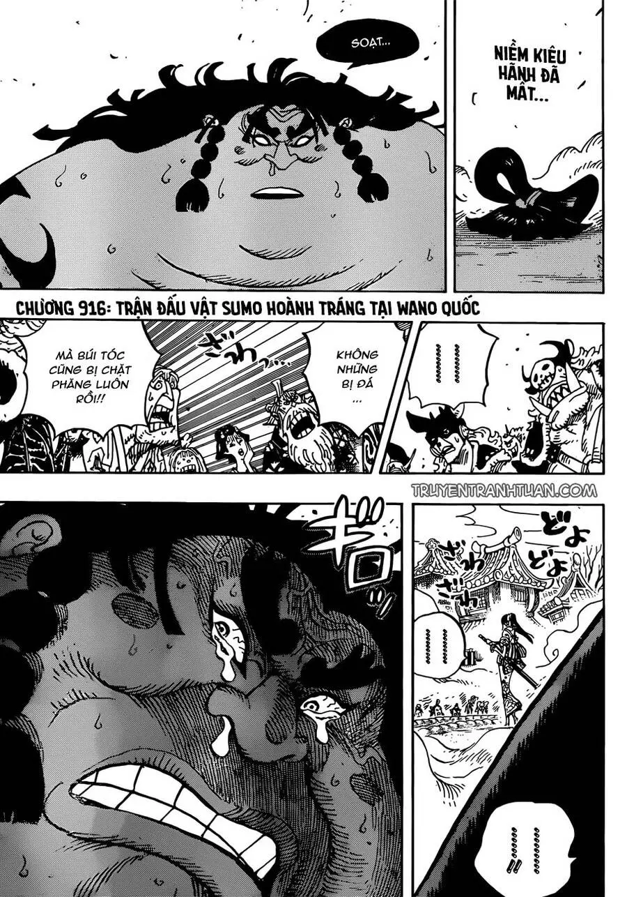 One Piece Nettruyen ZZZ Chương 916 Page 3