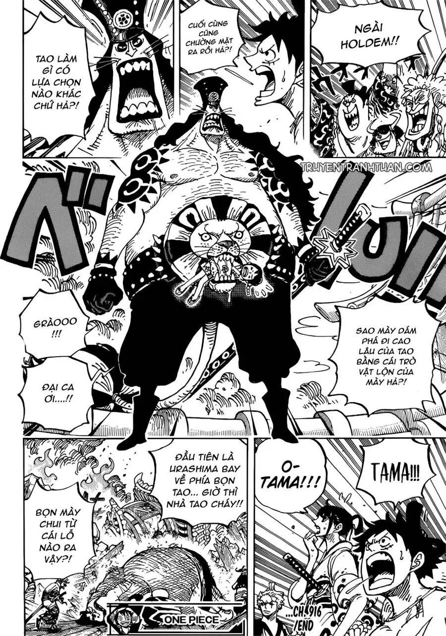 One Piece Nettruyen ZZZ Chương 916 Page 17