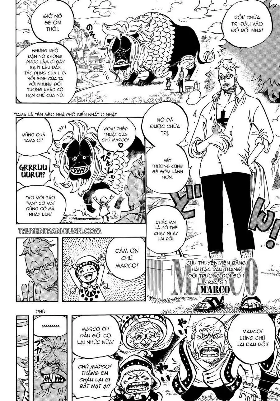 One Piece Nettruyen ZZZ Chương 909 Page 4