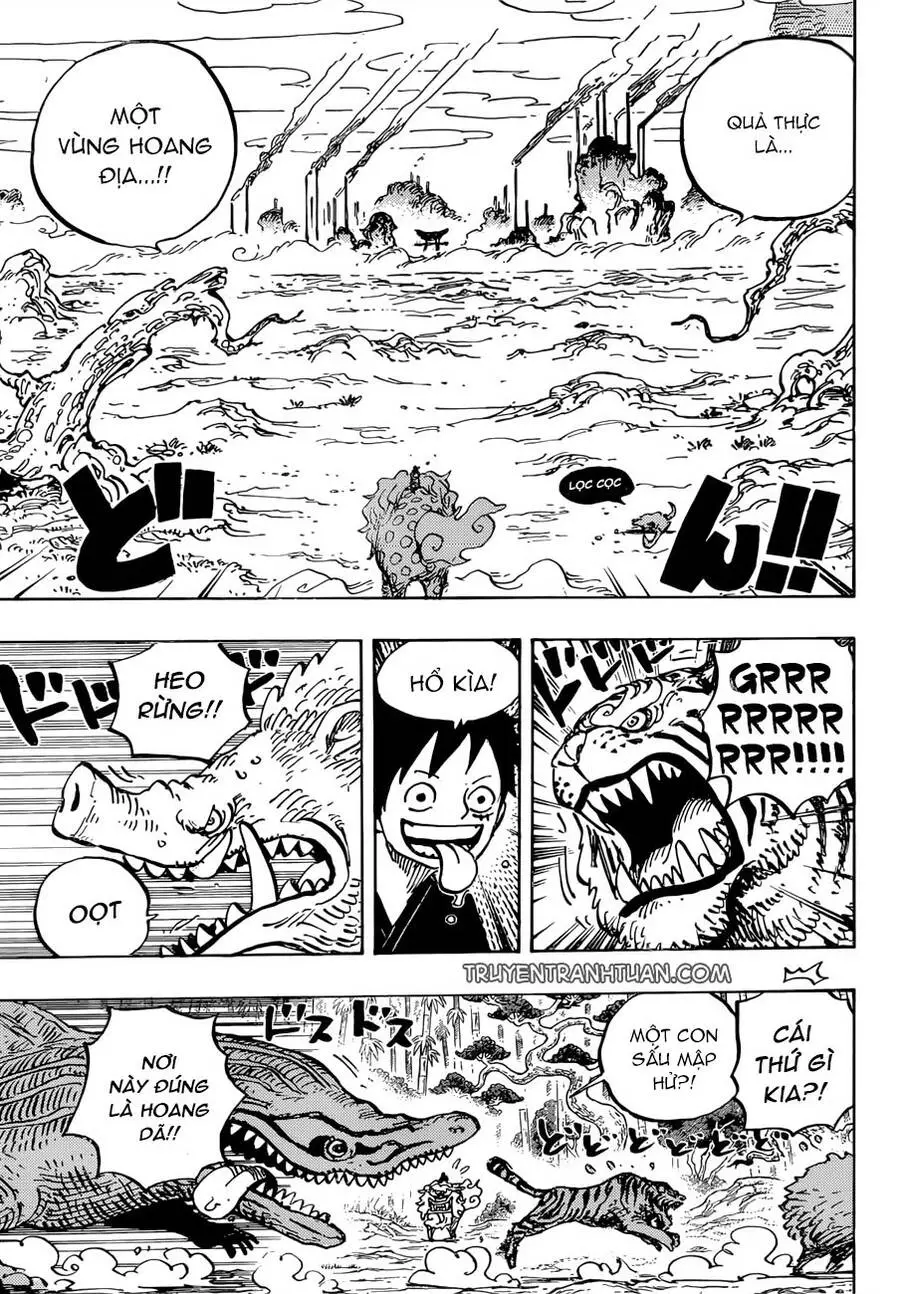 One Piece Nettruyen ZZZ Chương 912 Page 12