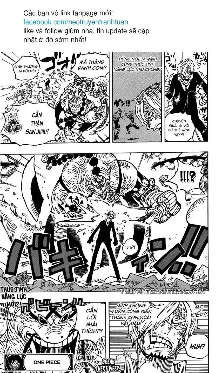 One Piece Nettruyen ZZZ Chương 1028 Page 17