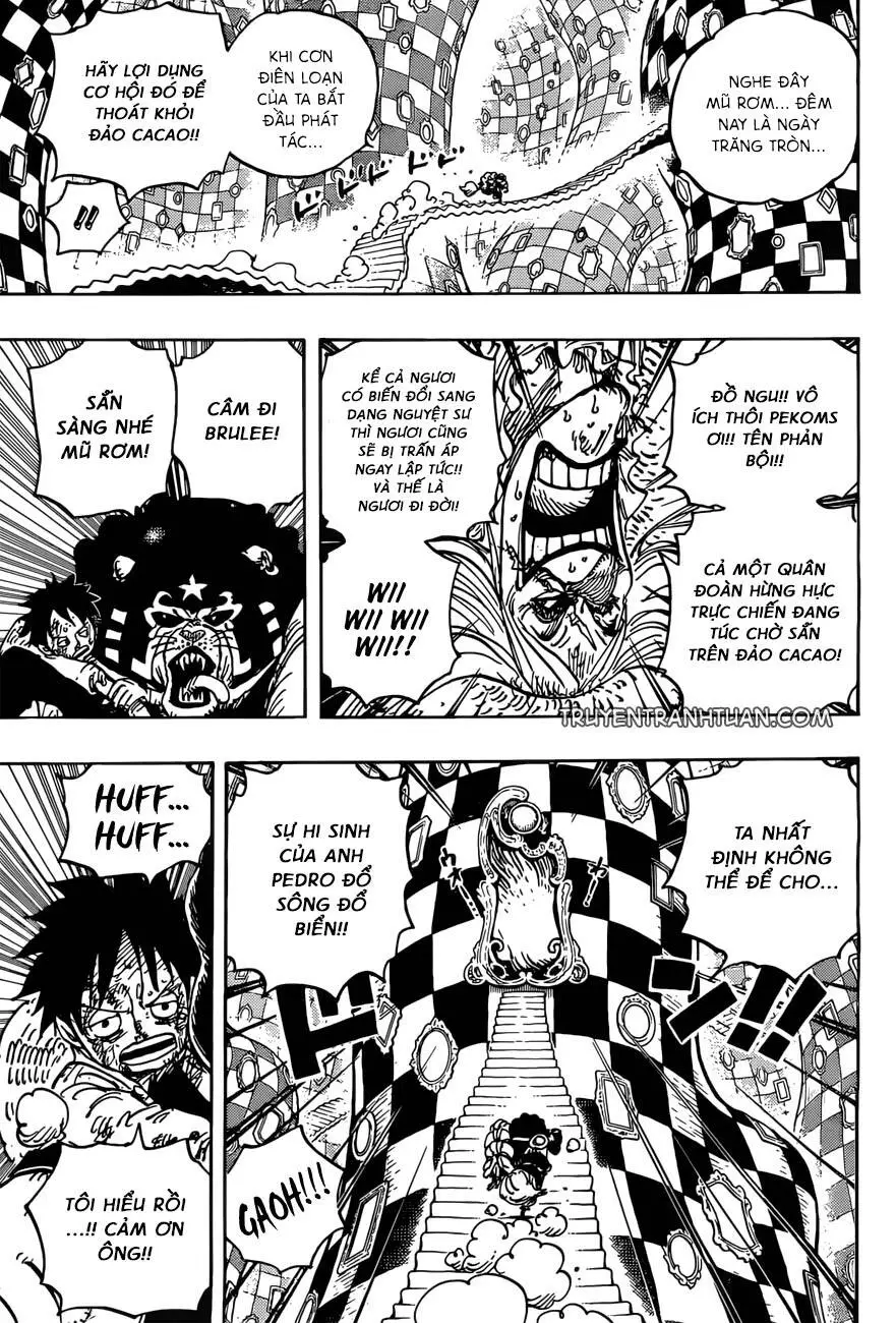 One Piece Nettruyen ZZZ Chương 897 Page 5