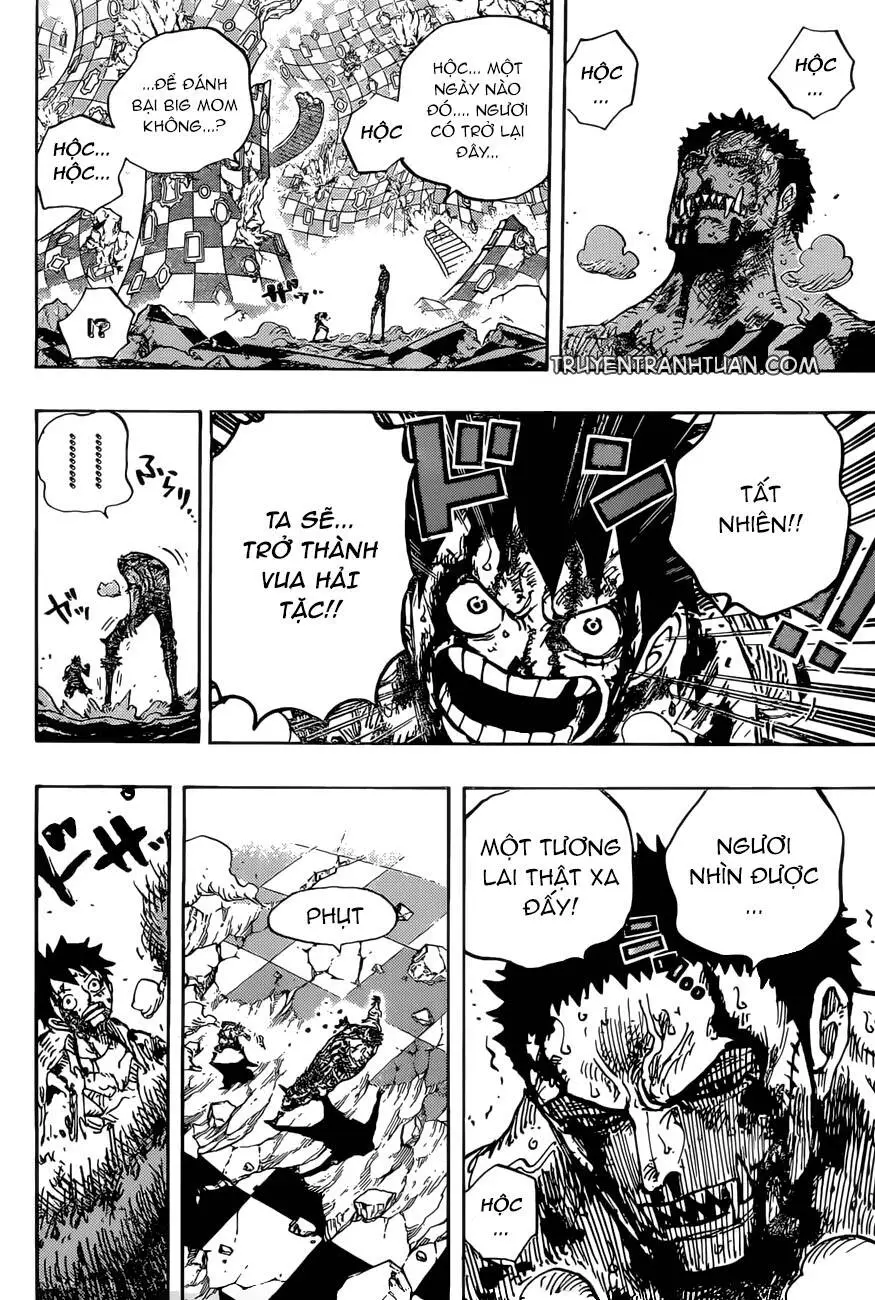 One Piece Nettruyen ZZZ Chương 896 Page 14