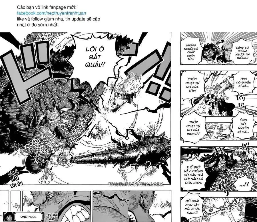One Piece Nettruyen ZZZ Chương 1024 Page 19