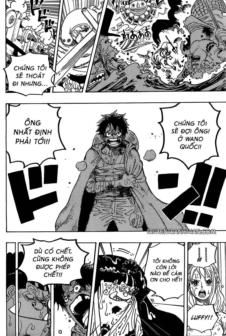 One Piece Nettruyen ZZZ Chương 901 Page 14
