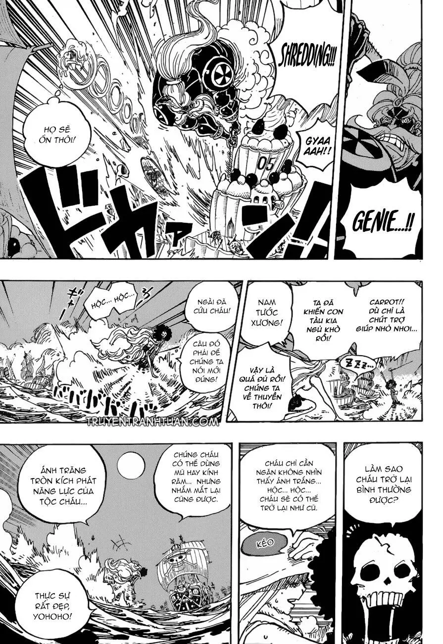 One Piece Nettruyen ZZZ Chương 889 Page 13