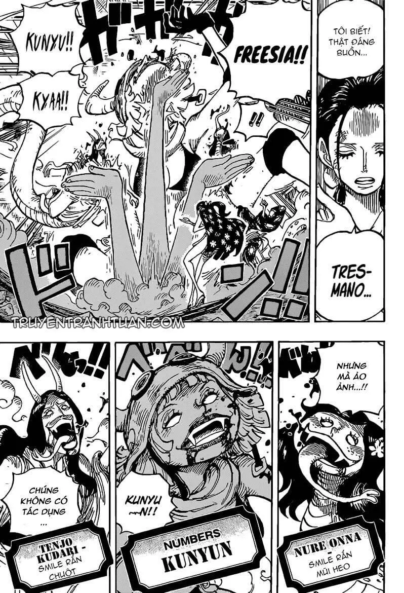 One Piece Nettruyen ZZZ Chương 1020 Page 7