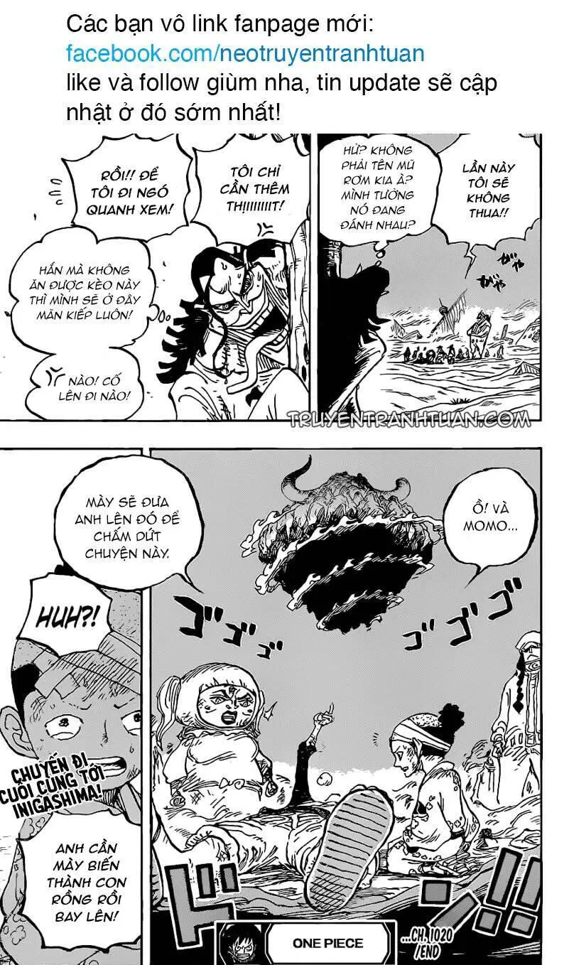 One Piece Nettruyen ZZZ Chương 1020 Page 17