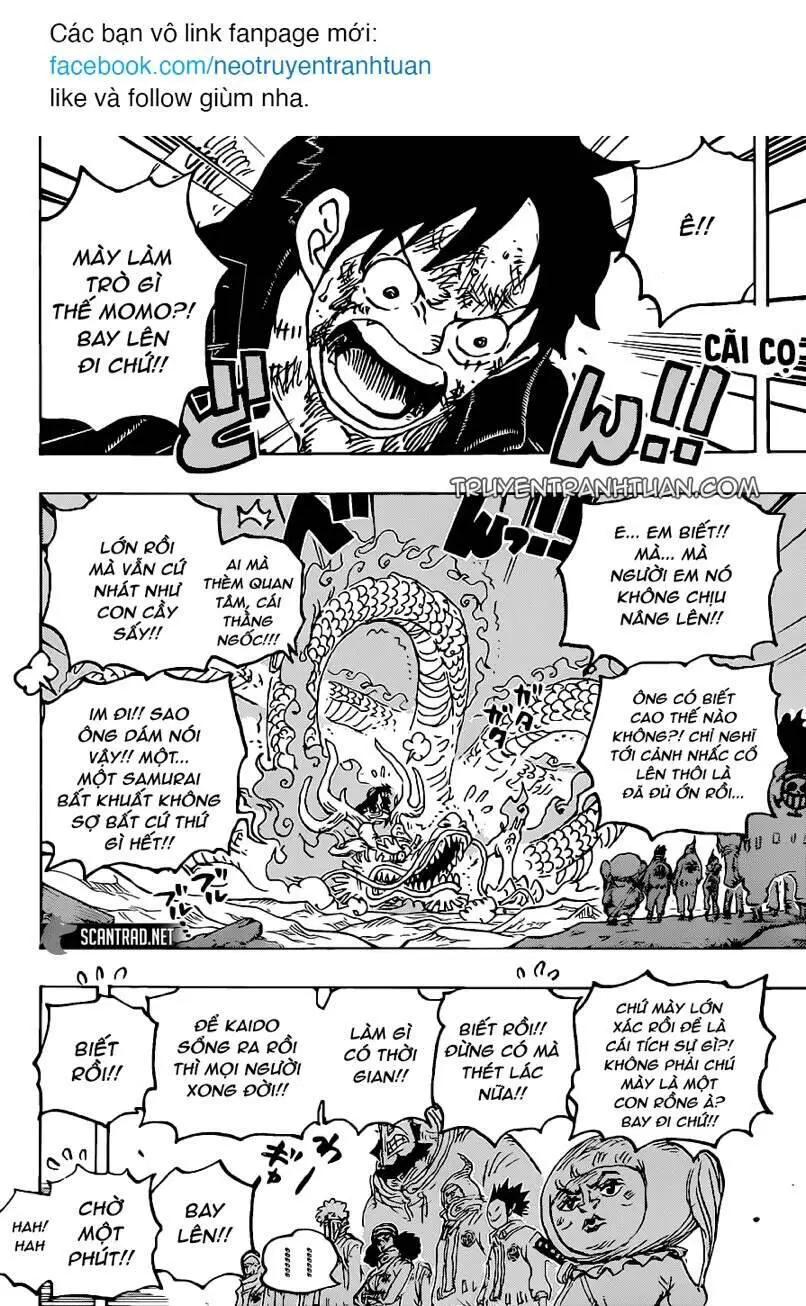 One Piece Nettruyen ZZZ Chương 1025 Page 4