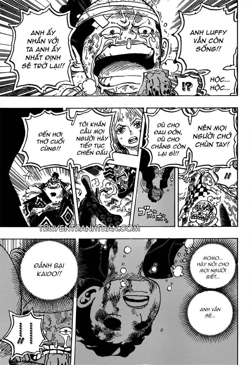 One Piece Nettruyen ZZZ Chương 1015 Page 12