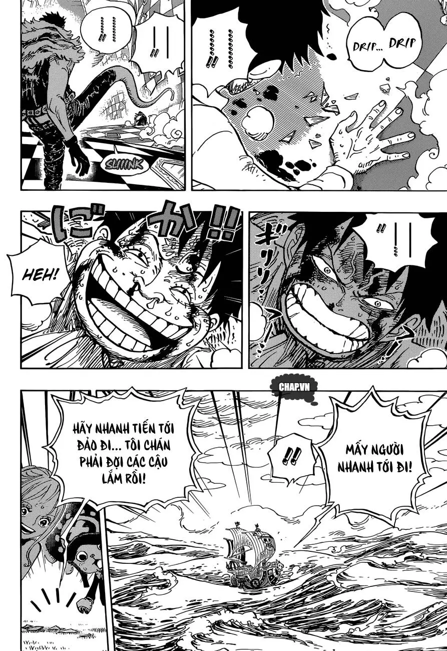 One Piece Nettruyen ZZZ Chương 881 Page 15