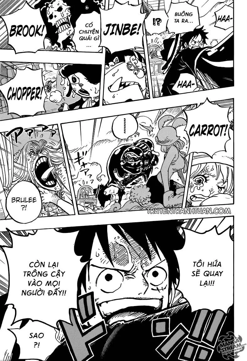One Piece Nettruyen ZZZ Chương 878 Page 16