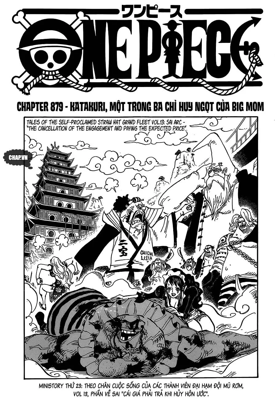 One Piece Nettruyen ZZZ Chương 879 Page 1